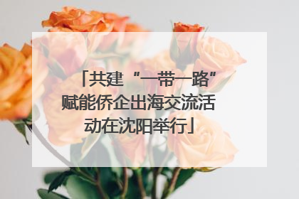 共建“一带一路”赋能侨企出海交流活动在沈阳举行