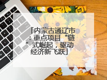 内蒙古通辽市：重点项目“链”式崛起，驱动经济新飞跃