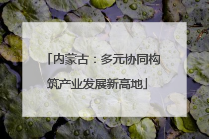 内蒙古：多元协同构筑产业发展新高地