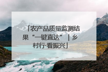 农产品质量监测结果“一键直达”｜乡村行·看振兴