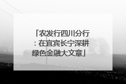 农发行四川分行：在宜宾长宁深耕绿色金融大文章