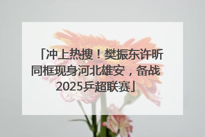 冲上热搜！樊振东许昕同框现身河北雄安，备战2025乒超联赛