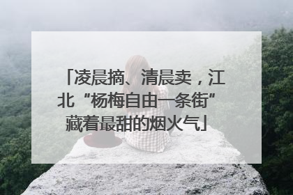 凌晨摘、清晨卖，江北“杨梅自由一条街”藏着最甜的烟火气