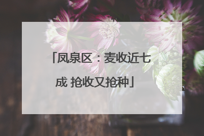 凤泉区：麦收近七成 抢收又抢种