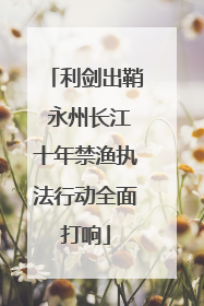 利剑出鞘 永州长江十年禁渔执法行动全面打响