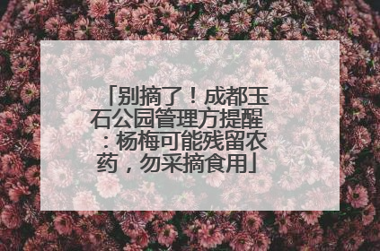 别摘了！成都玉石公园管理方提醒：杨梅可能残留农药，勿采摘食用