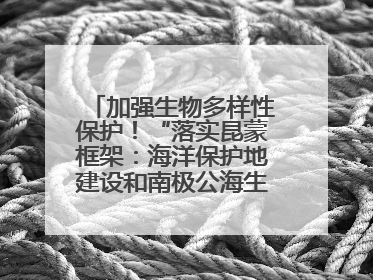 加强生物多样性保护！“落实昆蒙框架：海洋保护地建设和南极公海生态保护”主题论坛将举办