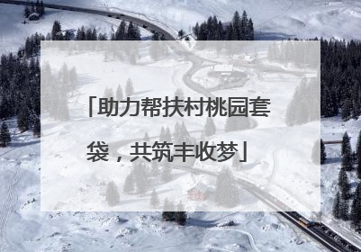 助力帮扶村桃园套袋，共筑丰收梦