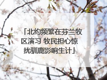 北约频繁在芬兰牧区演习 牧民担心惊扰驯鹿影响生计