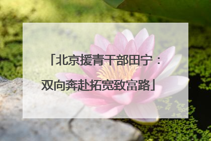 北京援青干部田宁：双向奔赴拓宽致富路
