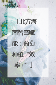 北方海南智慧赋能：葡萄种植“效率+”