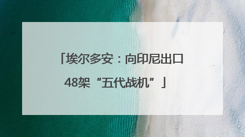 埃尔多安：向印尼出口48架“五代战机”