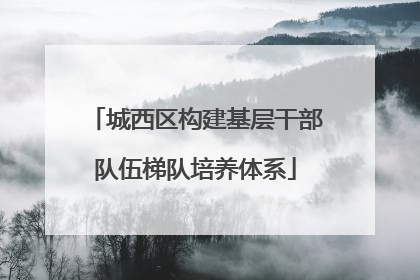 城西区构建基层干部队伍梯队培养体系