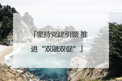 坚持党建引领 推进“双融双促”