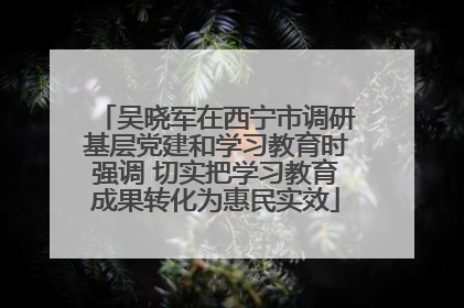 吴晓军在西宁市调研基层党建和学习教育时强调 切实把学习教育成果转化为惠民实效