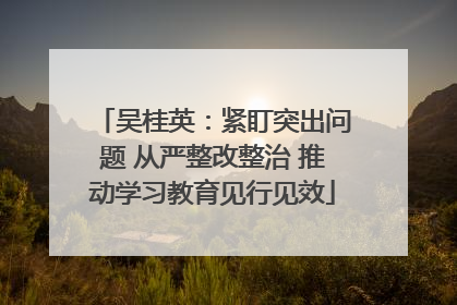 吴桂英：紧盯突出问题 从严整改整治 推动学习教育见行见效