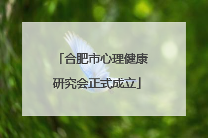 合肥市心理健康研究会正式成立