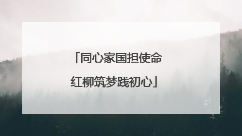 同心家国担使命 红柳筑梦践初心