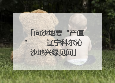 向沙地要“产值”——辽宁科尔沁沙地兴绿见闻
