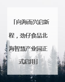 向海而兴启新程，劲仔食品北海智慧产业园正式启用