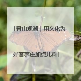 君山观潮｜用文化为好客枣庄加点儿料