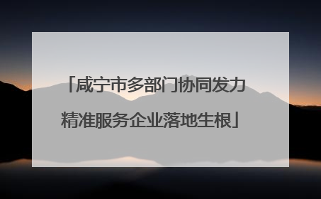 咸宁市多部门协同发力 精准服务企业落地生根