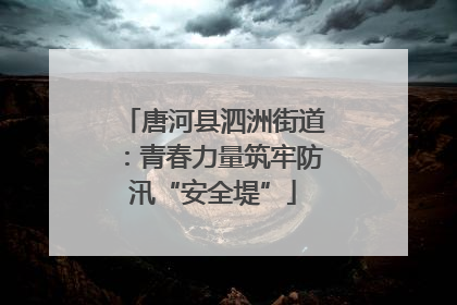 唐河县泗洲街道：青春力量筑牢防汛“安全堤”