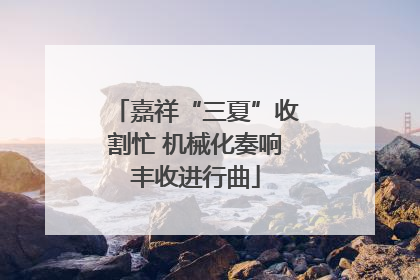 嘉祥“三夏”收割忙 机械化奏响丰收进行曲