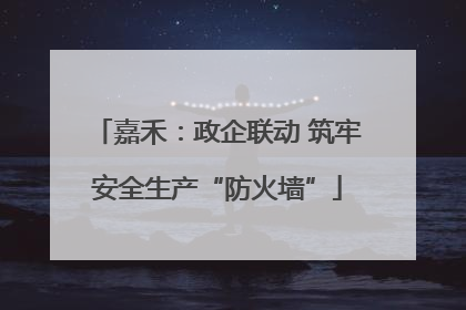 嘉禾：政企联动 筑牢安全生产“防火墙”