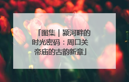 图集｜颍河畔的时光密码：周口关帝庙的古韵新章