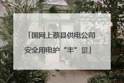 国网上蔡县供电公司安全用电护“丰”景