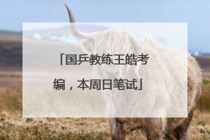 国乒教练王皓考编，本周日笔试