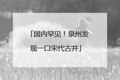 国内罕见！泉州发现一口宋代古井