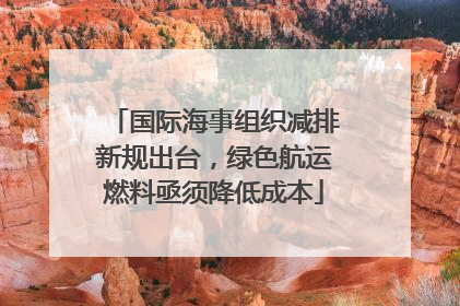 国际海事组织减排新规出台，绿色航运燃料亟须降低成本