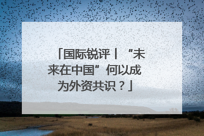国际锐评丨“未来在中国”何以成为外资共识？