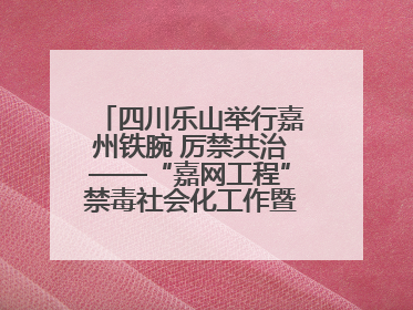 四川乐山举行嘉州铁腕 厉禁共治——“嘉网工程”禁毒社会化工作暨毒品集中销毁启动仪式