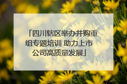 四川辖区举办并购重组专题培训 助力上市公司高质量发展