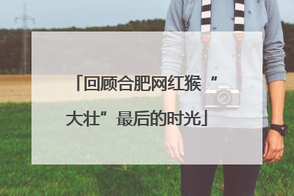 回顾合肥网红猴“大壮”最后的时光