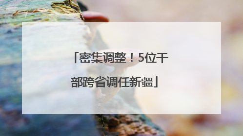 密集调整！5位干部跨省调任新疆