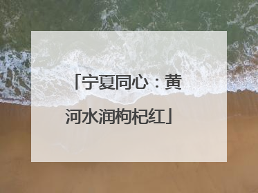 宁夏同心：黄河水润枸杞红