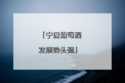 宁夏葡萄酒发展势头强