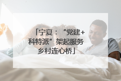 宁夏：“党建+科特派”架起服务乡村连心桥