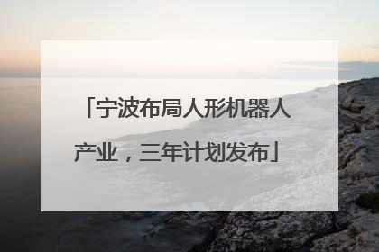 宁波布局人形机器人产业，三年计划发布