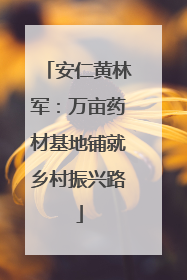 安仁黄林军：万亩药材基地铺就乡村振兴路