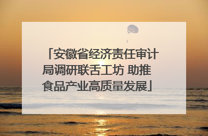 安徽省经济责任审计局调研联舌工坊 助推食品产业高质量发展