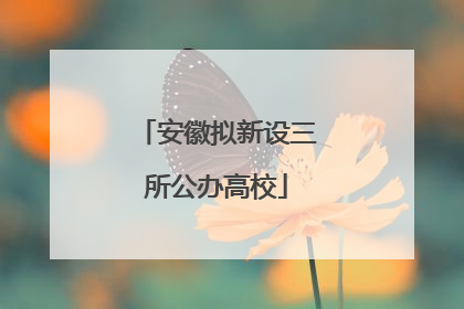 安徽拟新设三所公办高校