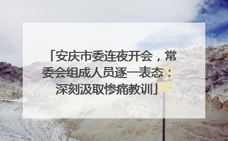 安庆市委连夜开会，常委会组成人员逐一表态：深刻汲取惨痛教训