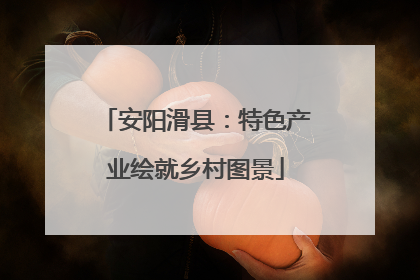 安阳滑县：特色产业绘就乡村图景