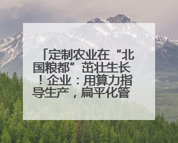 定制农业在“北国粮都”茁壮生长！企业：用算力指导生产，扁平化管理种地