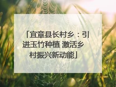 宜章县长村乡：引进玉竹种植 激活乡村振兴新动能